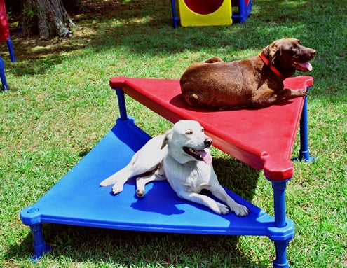 Playgrounds for Pooches