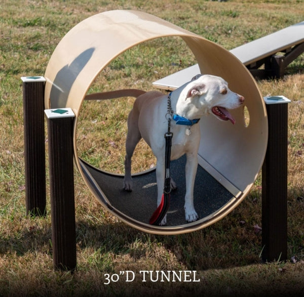Toto Tunnel