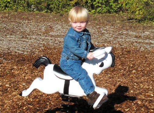 Bouncy Animal (Mustang)