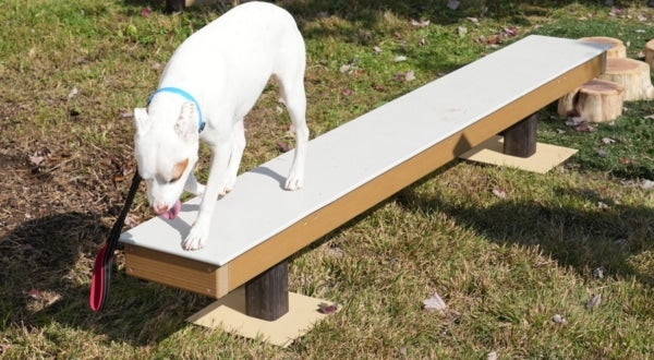 Woof Walk